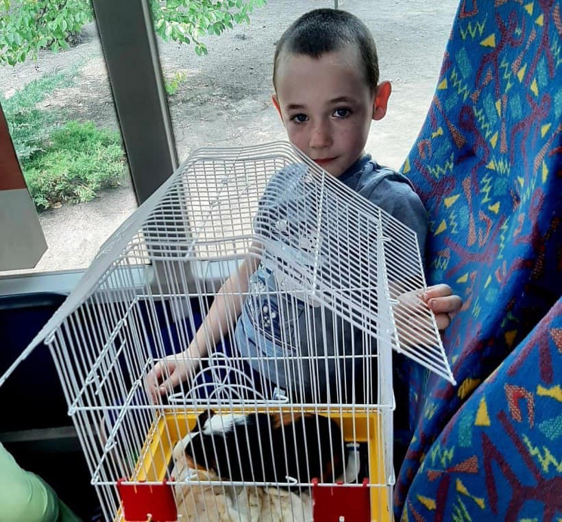 453429491 793281699646871 7584154338843560552 n - Вікно Відновлення