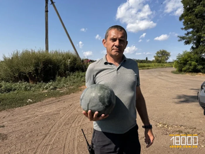 Найбільше – «Бедуїнів». Як на Черкащині виростили 900 тонн кавунів