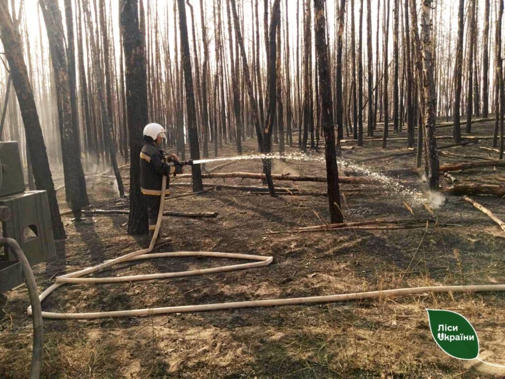 Через масовані обстріли за останній тиждень в Україні вигоріли понад 300 гектарів лісу