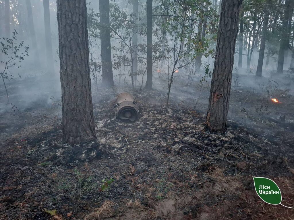 Через атаку рф у лісі на Київщині виникли пожежі на площі понад 2 гектари