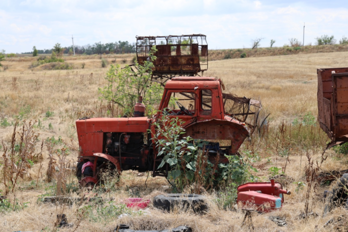 Taniushka’s watermelons and a broken tractor: a report from the family watermelon farm in Bilohirka