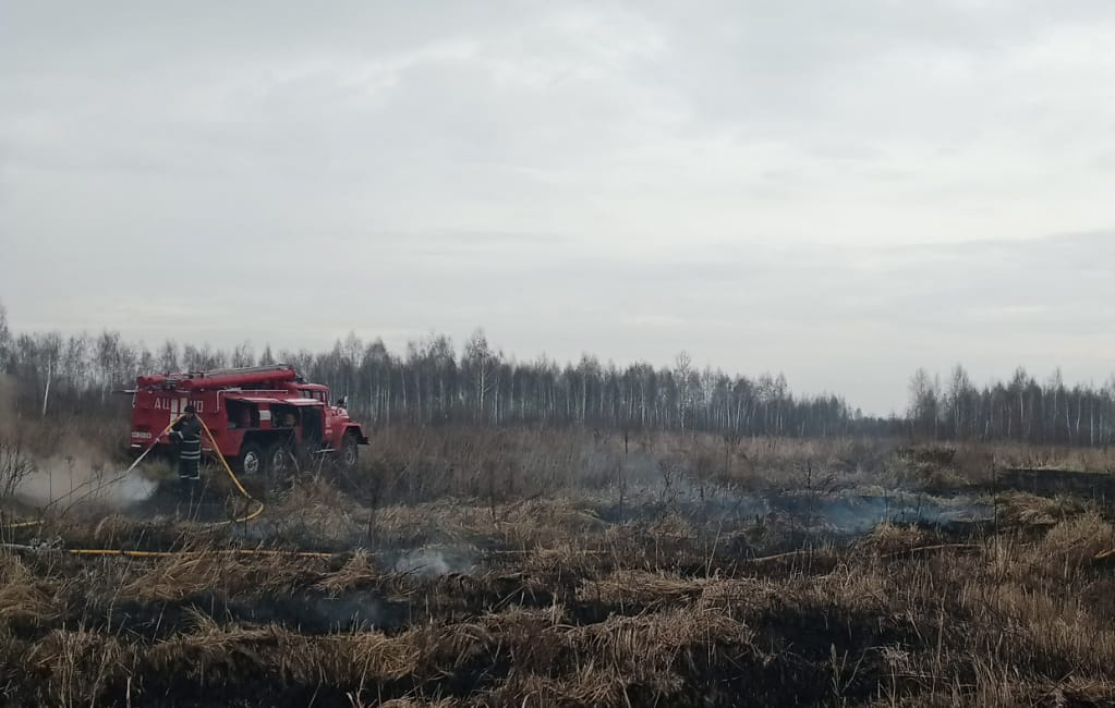 Відновлення довкілля: екоактивісти вимагають реформи поводження з торфовищами